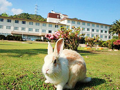 大久野島の住人?
