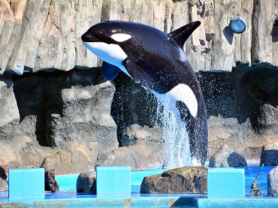 名古屋港水族館